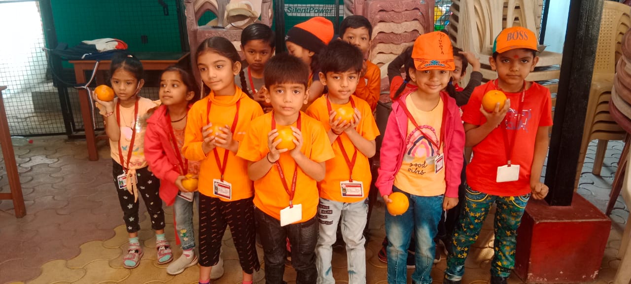 Uttarayan and orange day celebration